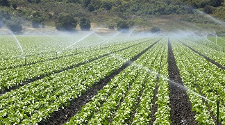 Ekin Ziraat Sulama Sistemleri